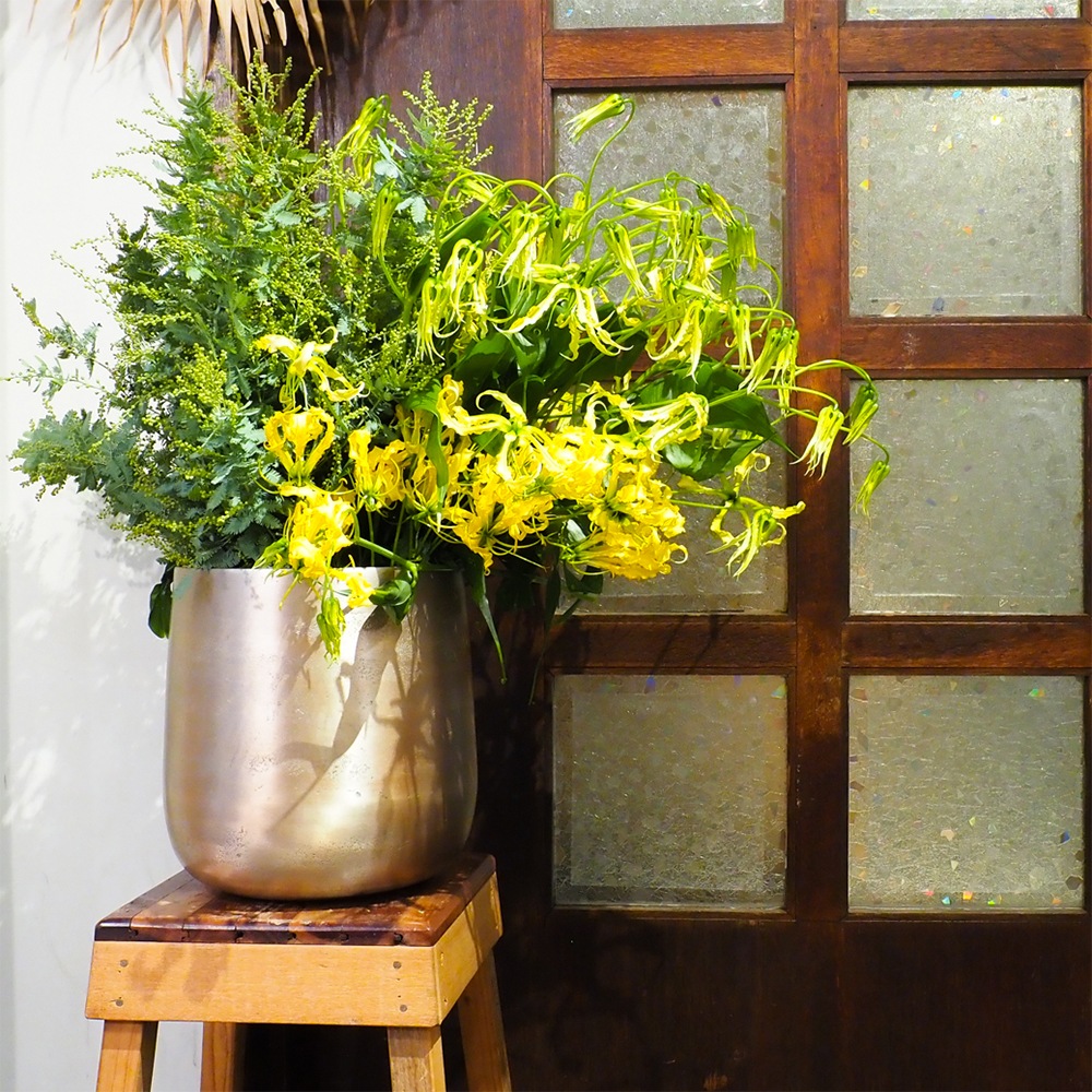 AM7ベース ゴールドH28