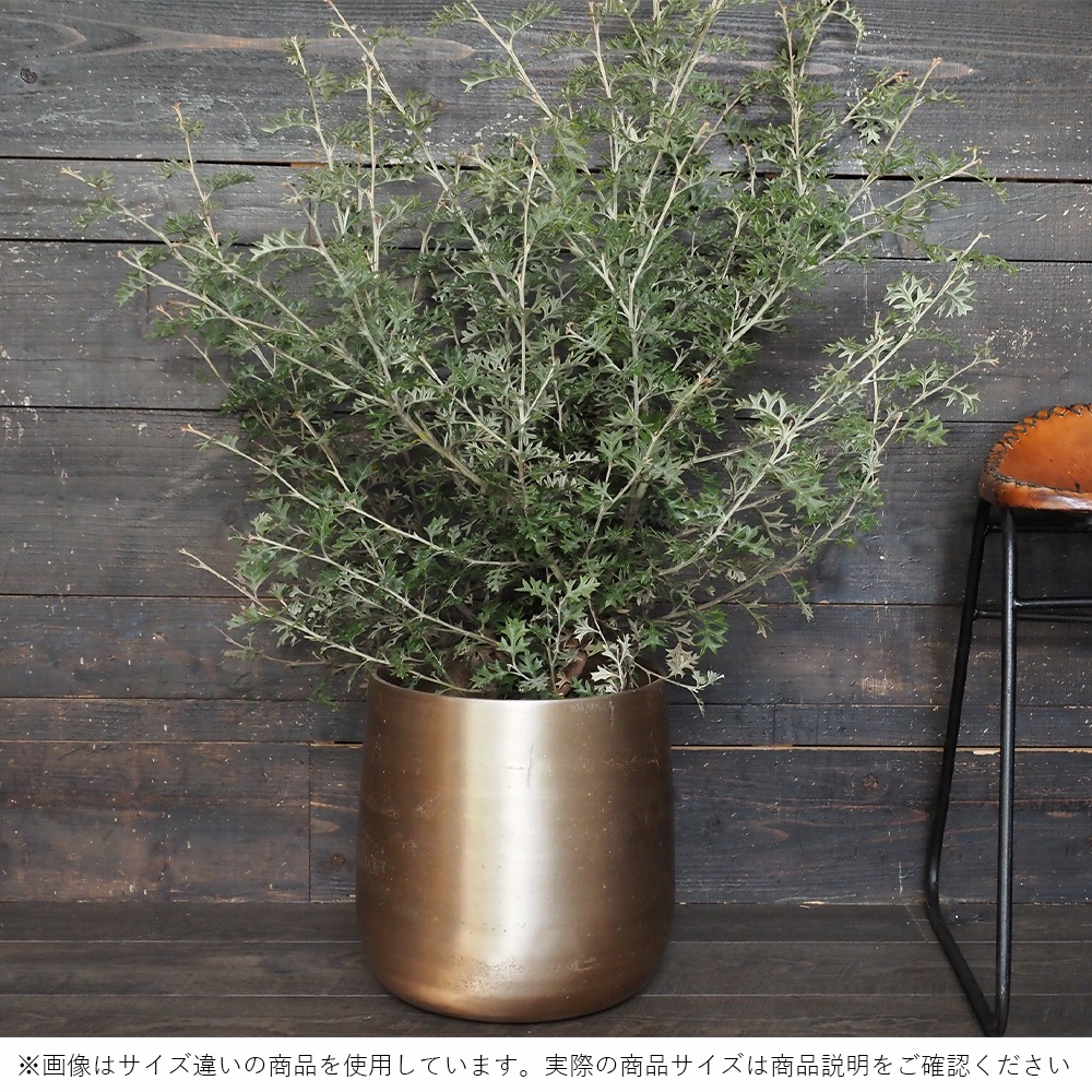 AM7ベース ゴールドH28