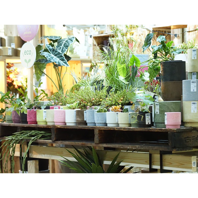 SKステップ 12xH12 パウダーベージュ