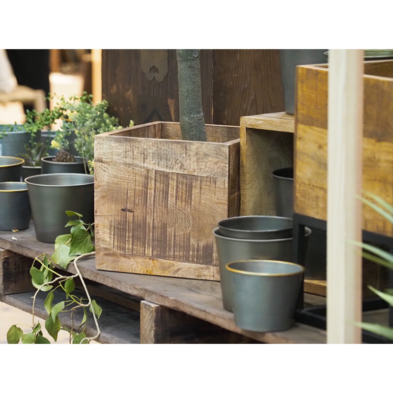 AMナチュラルウッドキューブBOXH31