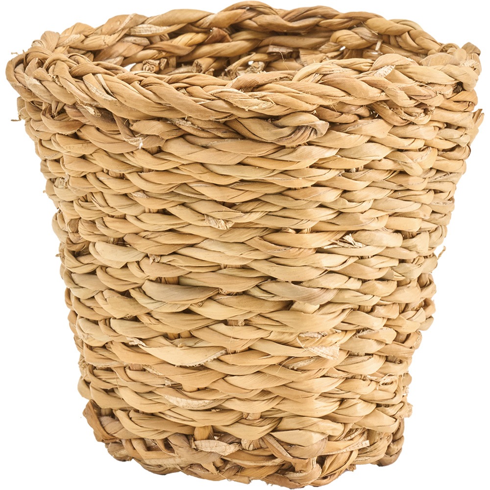 BBホグラナチュラル3号 φ12xH9.5