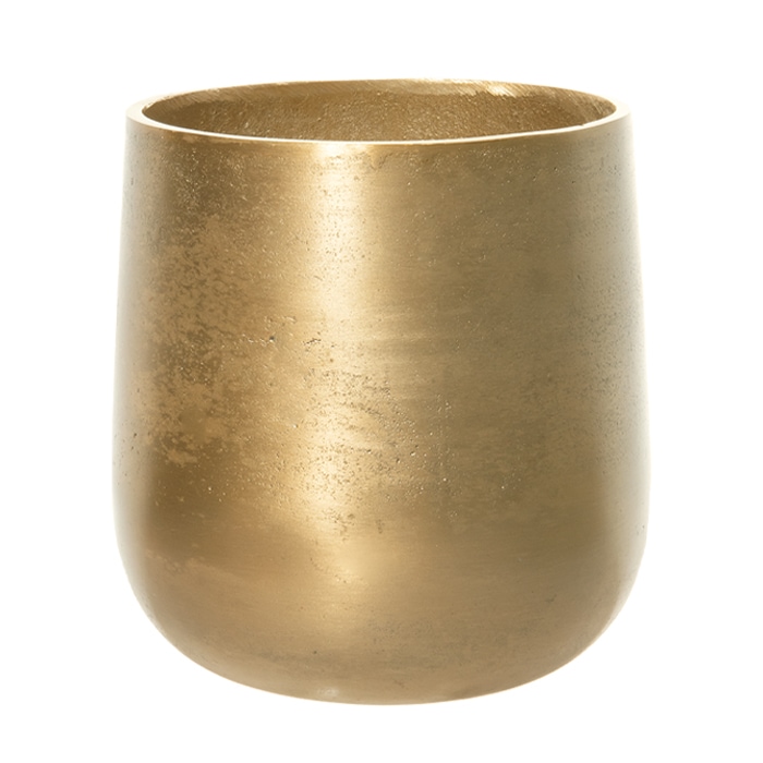 AM8ベース ゴールドH31