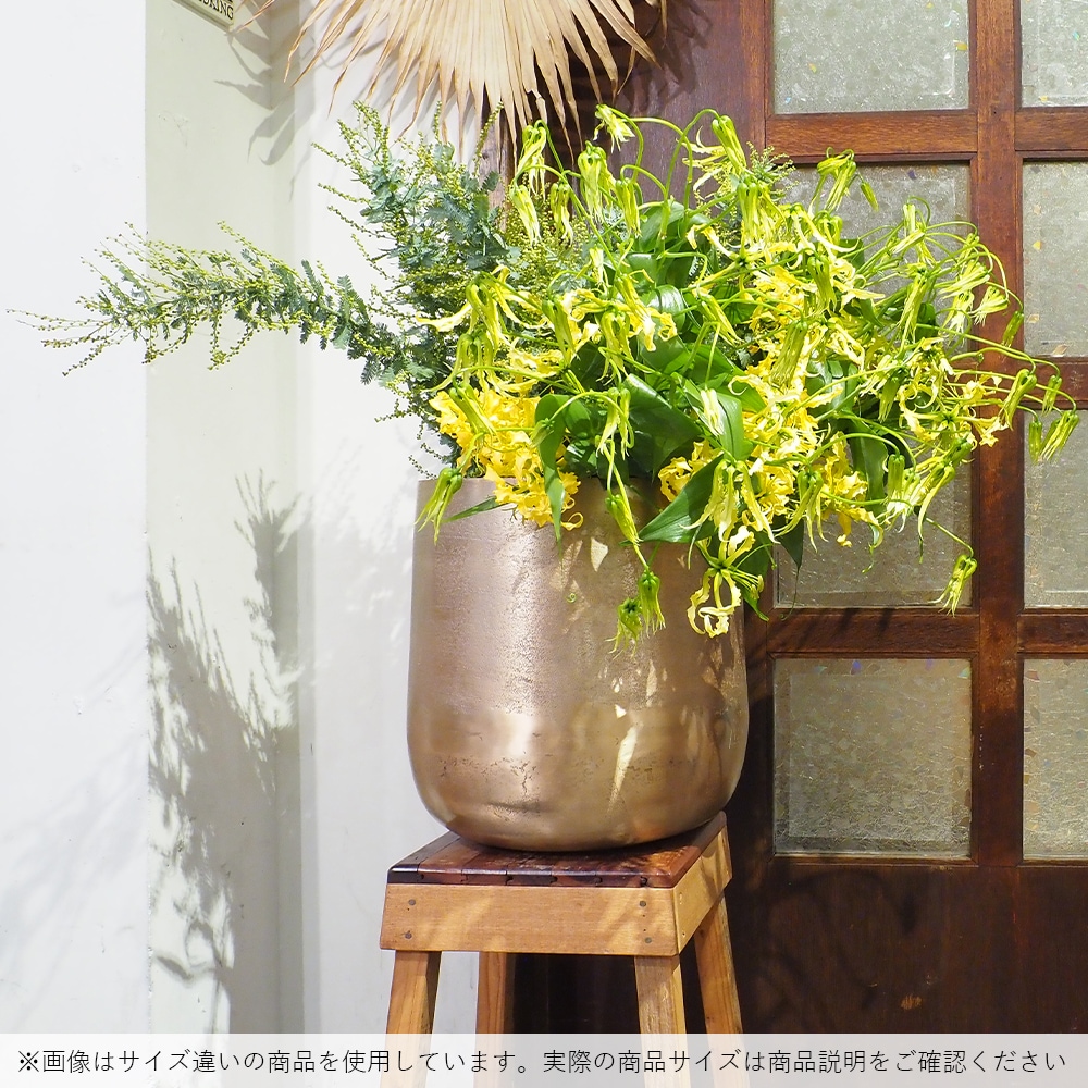 AM8ベース ゴールドH31