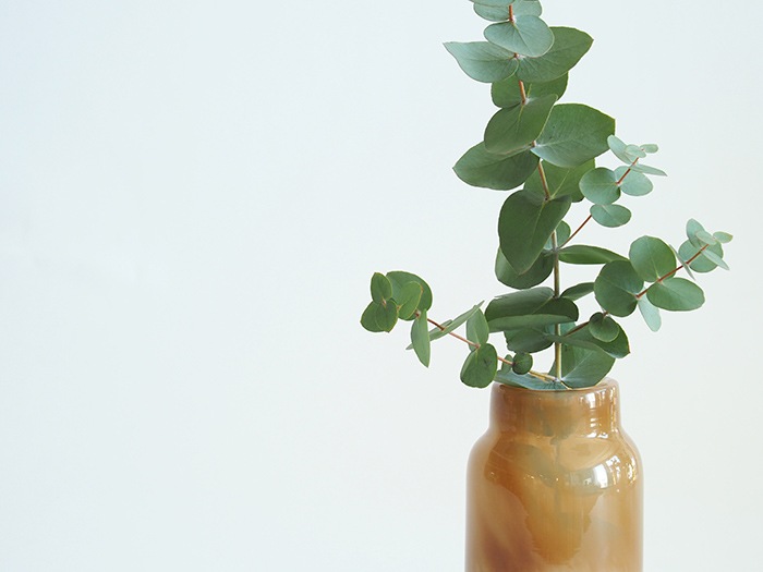 DGボトルベースホワイトブラウン H15.5