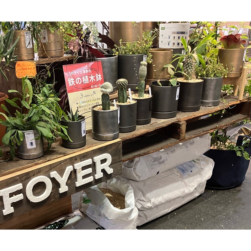 MC円柱メタルecoポット皿付|鉄はエコ|アンティークゴールド#3