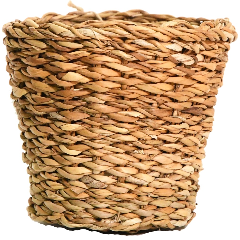 BBホグラナチュラル3.5号 φ14xH11.5