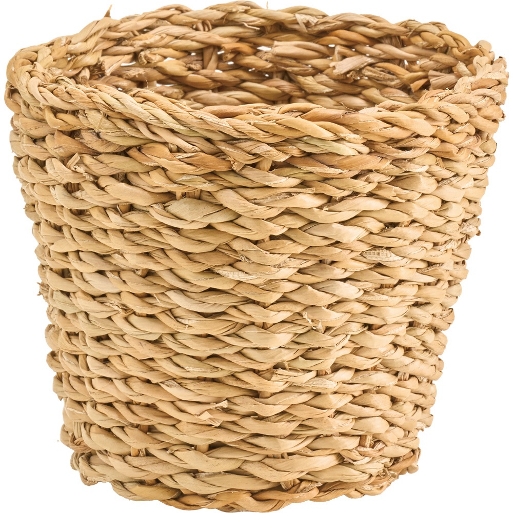 BBホグラナチュラル3.5号 φ14xH11.5