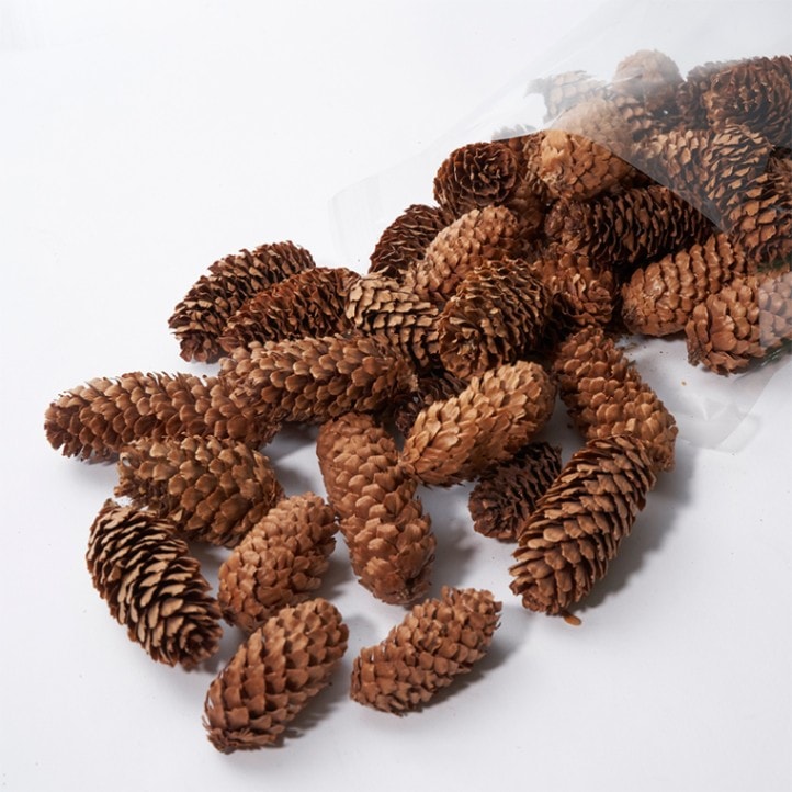 マテリアルロングコーン ナチュラル12個セット