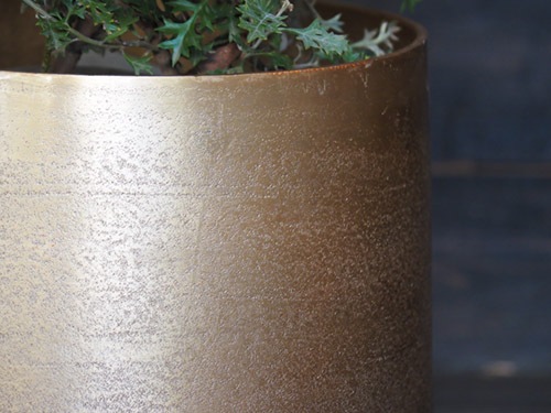 AM10ベースゴールド H37