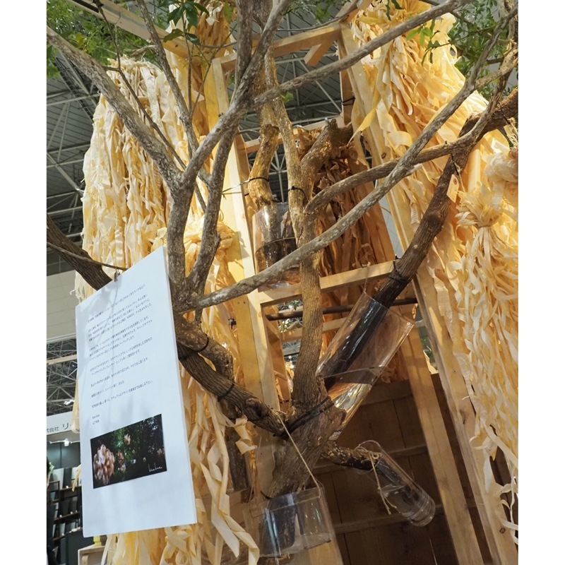 【割れない花瓶!?ポリカ】PVクリスタベースA φ16xH35