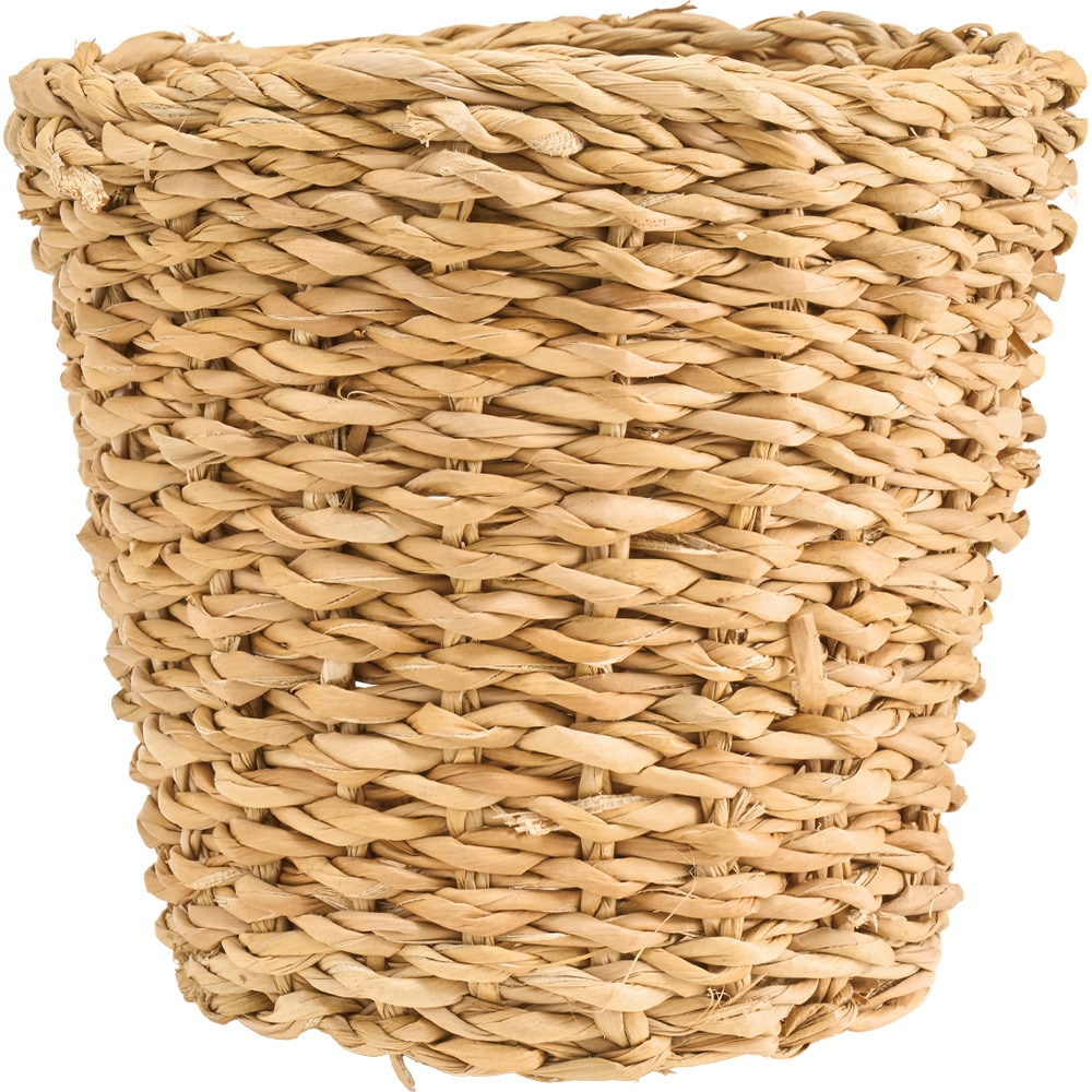 BBホグラナチュラル4号 φ16xH15