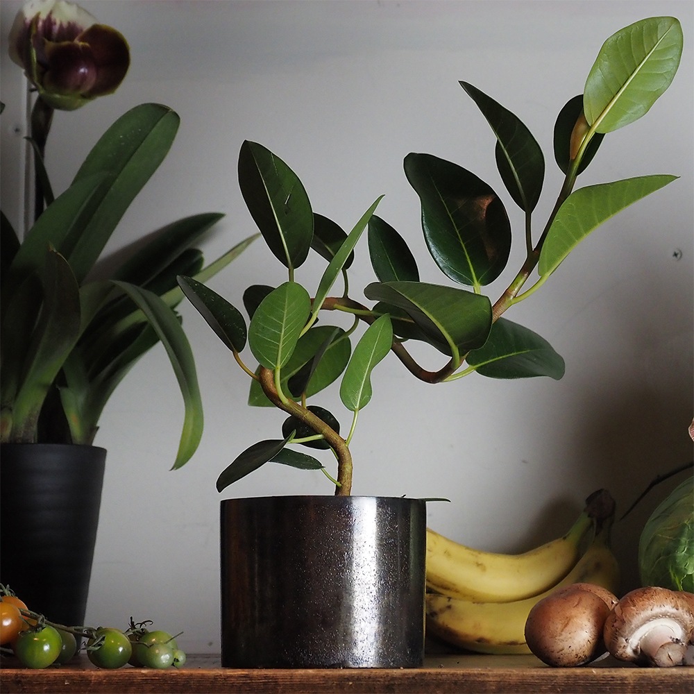 AMシリンダーポット ブラックH9【入荷予定あり】【2026年3月下旬入荷予定】