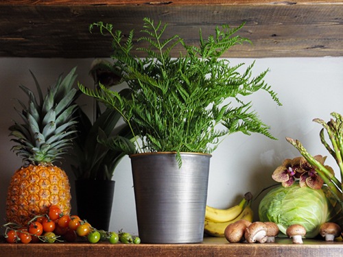 @MC円錐ポットグレーゴールド φ17xH17