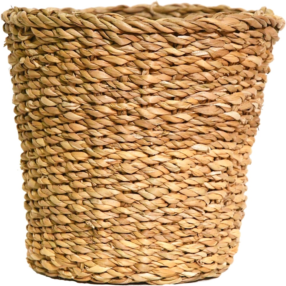 BBホグラナチュラル5号 φ18xH18