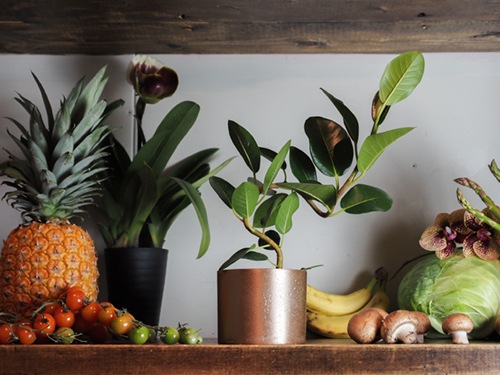 AMシリンダーポットゴールド H9