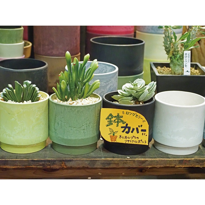 SKステップ 12xH12.5 ライトピンク