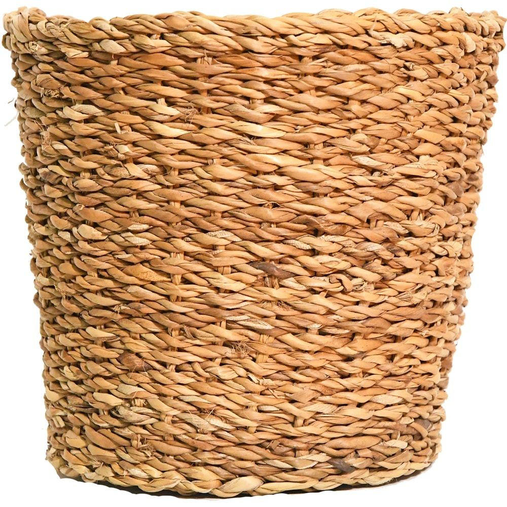 BBホグラナチュラル6号 φ23xH20