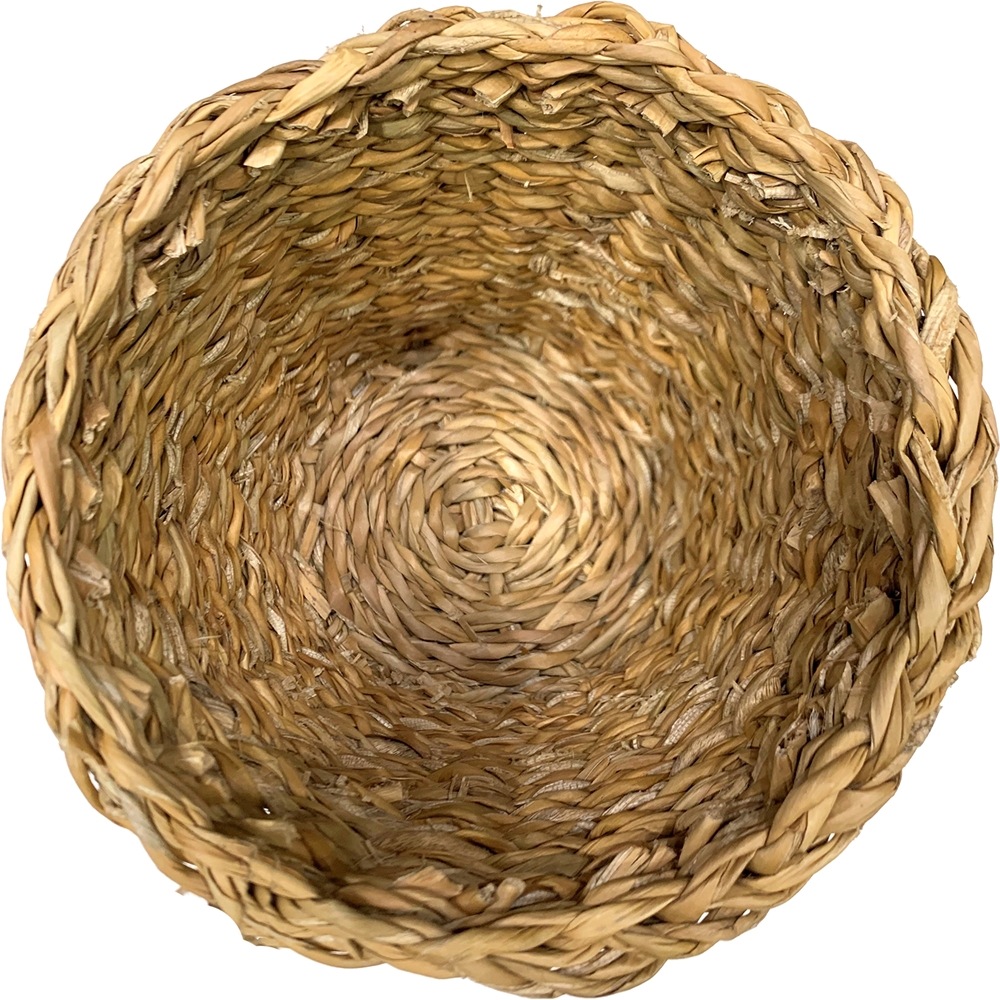 BBホグラナチュラル6号 φ23xH20