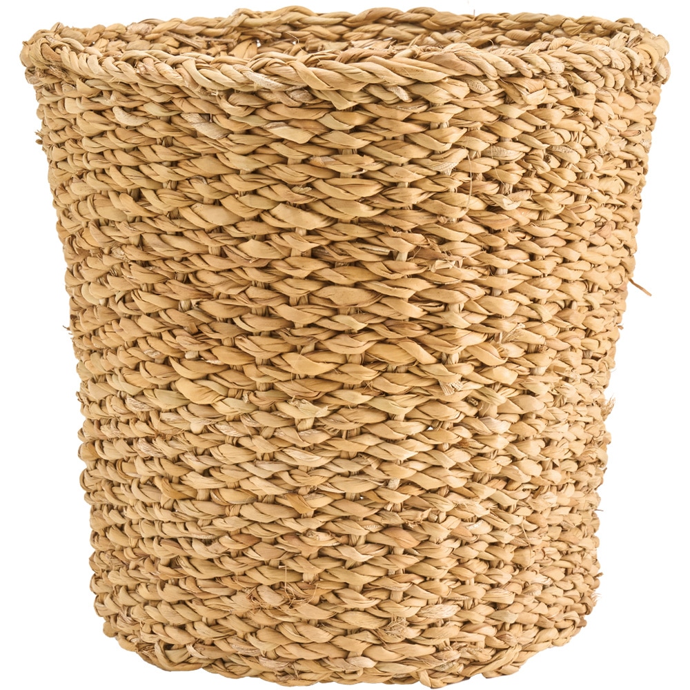 BBホグラナチュラル6号 φ23xH20