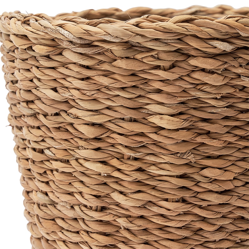 BBホグラナチュラル6号 φ23xH20