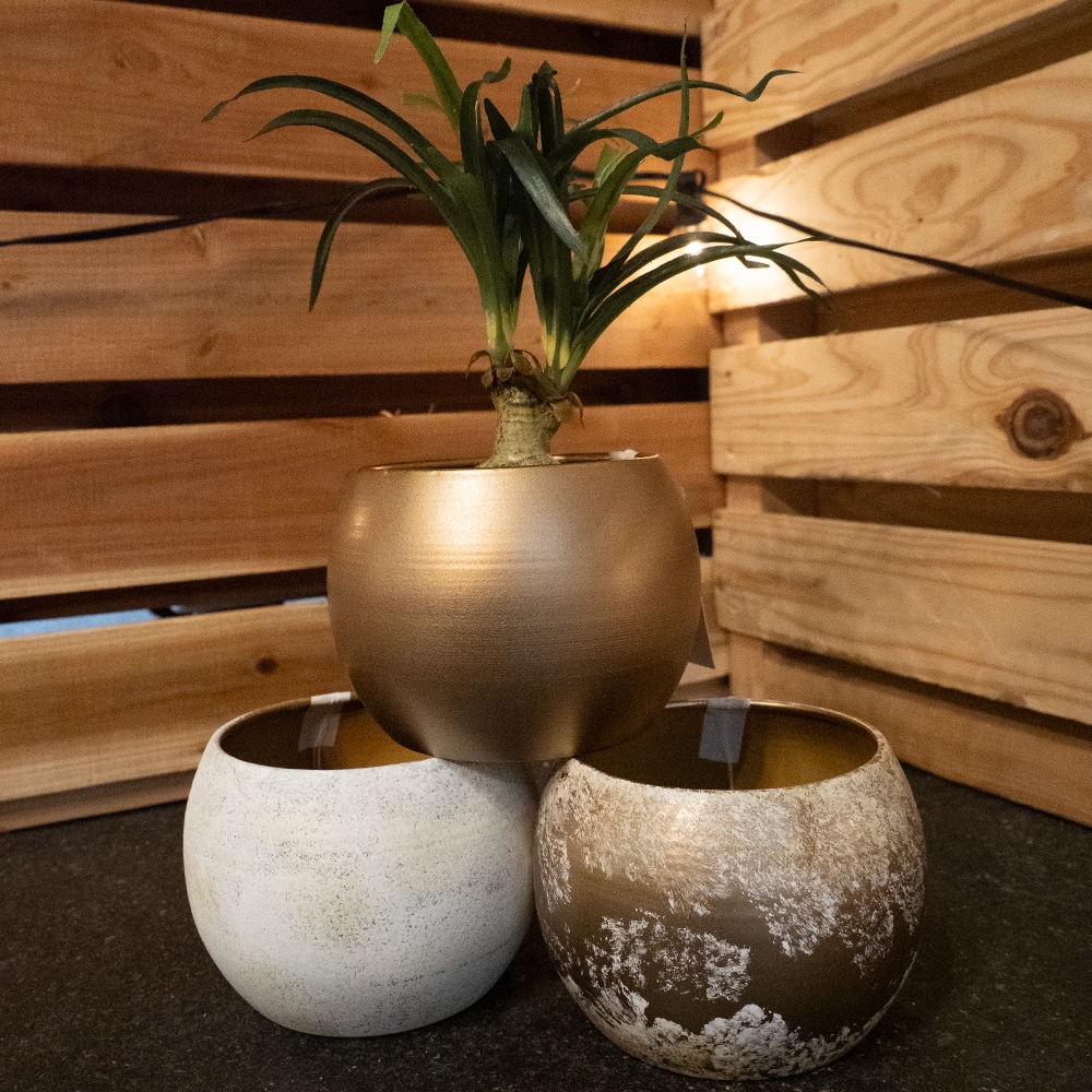 MCボウルメタル ゴールドホワイトH9