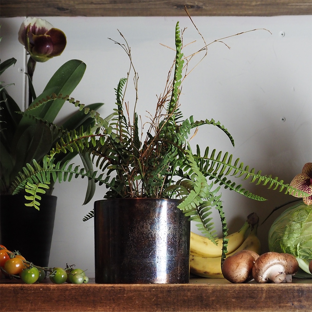 AMシリンダーポット ブラックH11.5【入荷予定あり】【2026年6月下旬入荷予定】