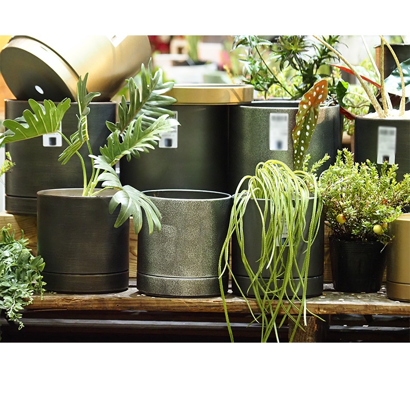 MC円柱メタルecoポット皿付|鉄はエコ|アンティークゴールド#3.5