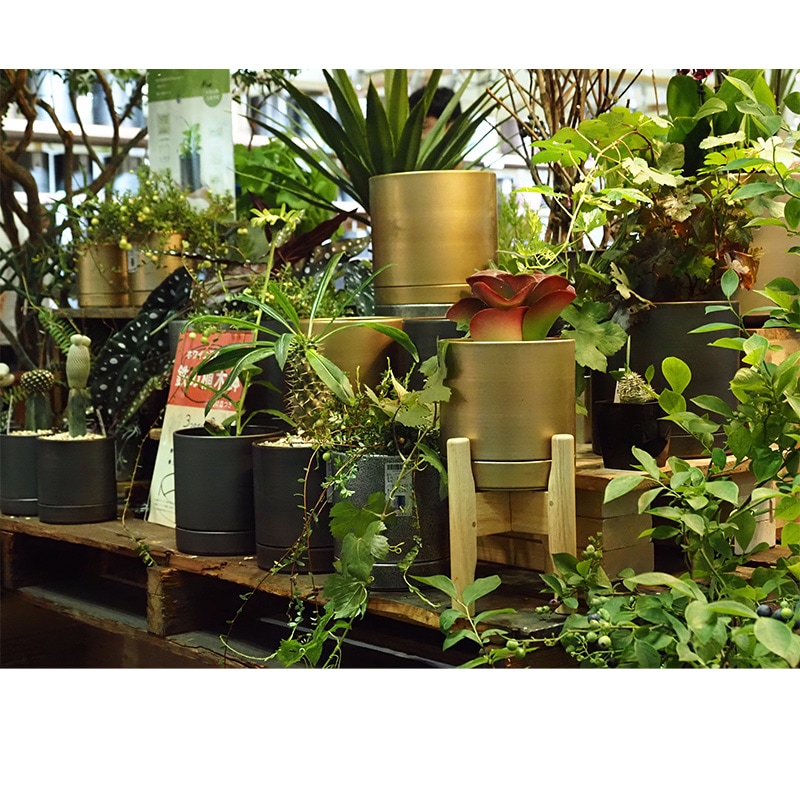 MC円柱メタルecoポット皿付|鉄はエコ|アンティークゴールド#3.5