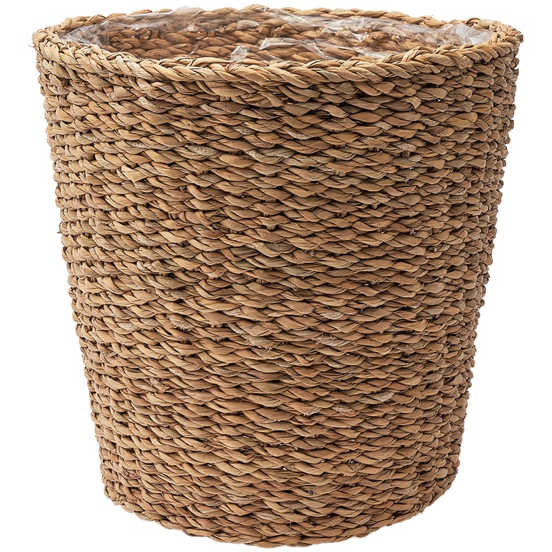 BBホグラナチュラル7号 φ29xH28