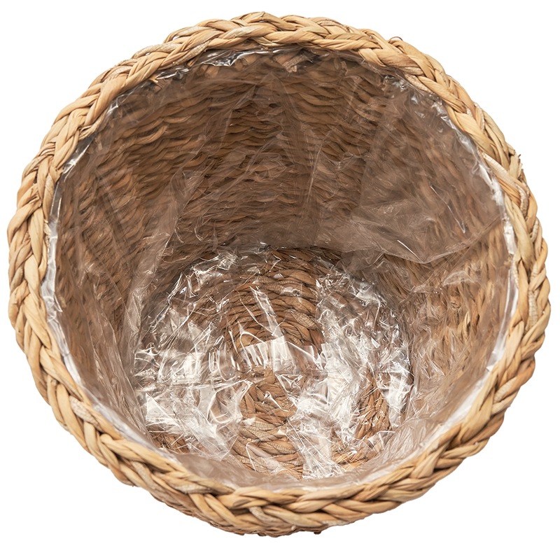 BBホグラナチュラル7号 φ29xH28