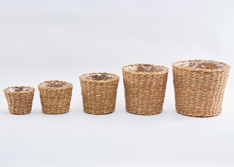 BBホグラナチュラル7号 φ29xH28