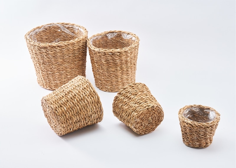 BBホグラナチュラル7号 φ29xH28