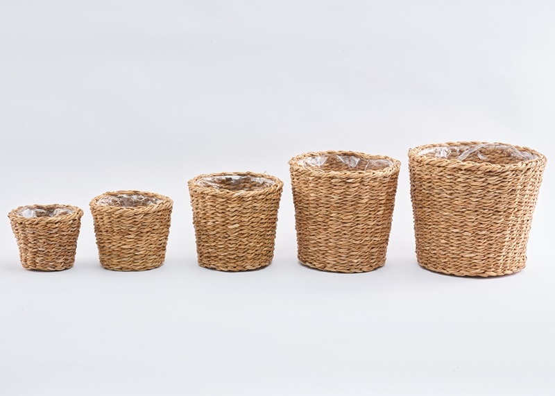 BBホグラナチュラル8号 φ32xH30