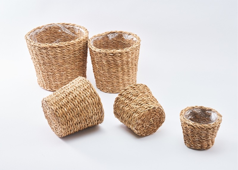 BBホグラナチュラル8号 φ32xH30