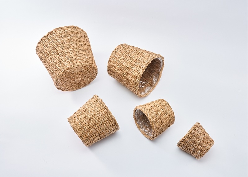 BBホグラナチュラル8号 φ32xH30