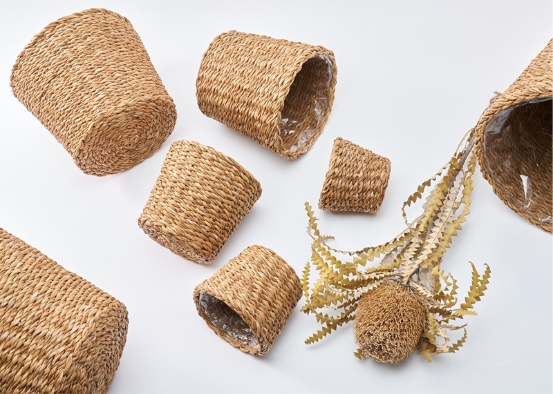 BBホグラナチュラル8号 φ32xH30