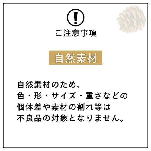 マテリアルミニミニコーンスノー50個セット 