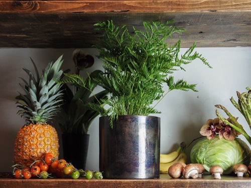 AMシリンダーポットブラック H17.5【入荷予定あり】【2025年12月中旬入荷予定】