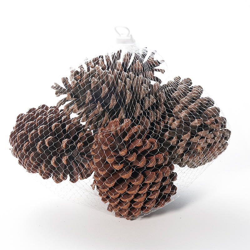 花冷え。のマツリ(Gt./Vo.)さんのピック 非売品 激レア スパーク 1/43 ARTA 無限 シビック タイプR-GT 2025 スーパーGT GT500