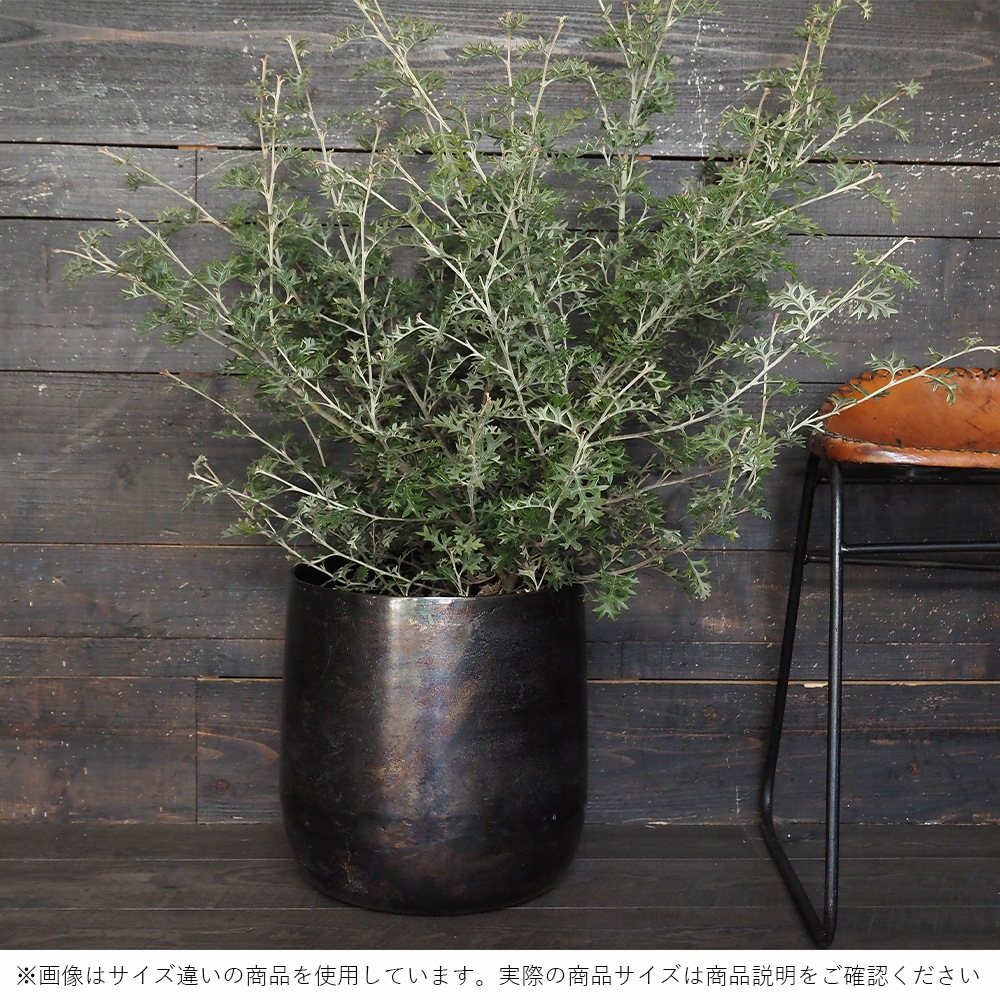 AM10ベース ブラックH37【入荷予定あり】【2026年3月下旬入荷予定】