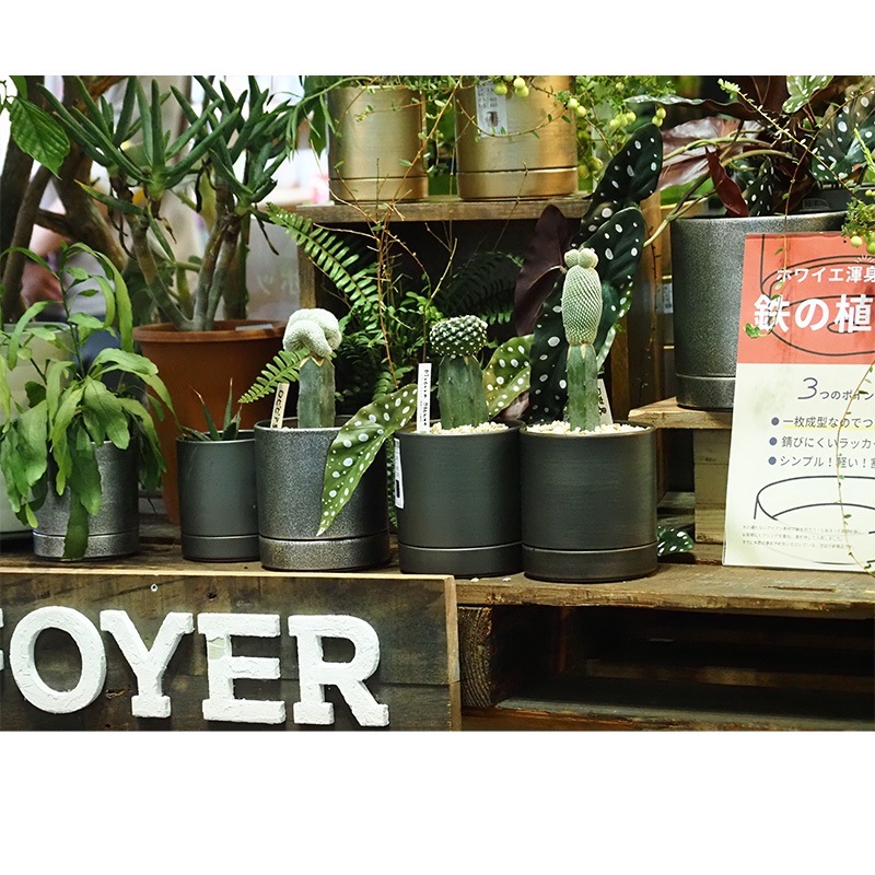 MC円柱メタルecoポット皿付|鉄はエコ|ダークブラック#4