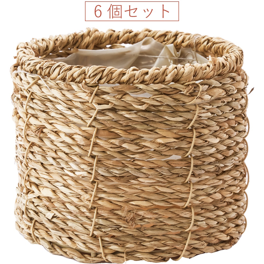 PPシーグララウンドSS 6個セット