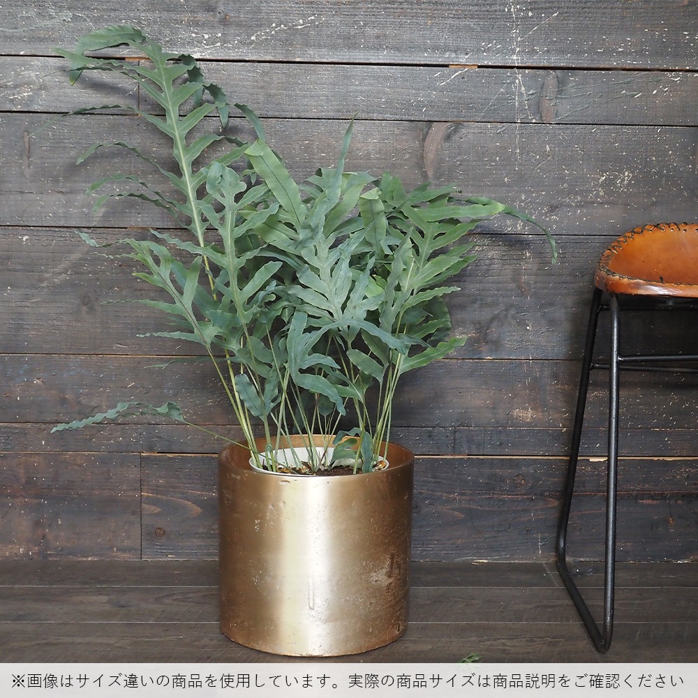 AMシリンダーポット ゴールドH21.5