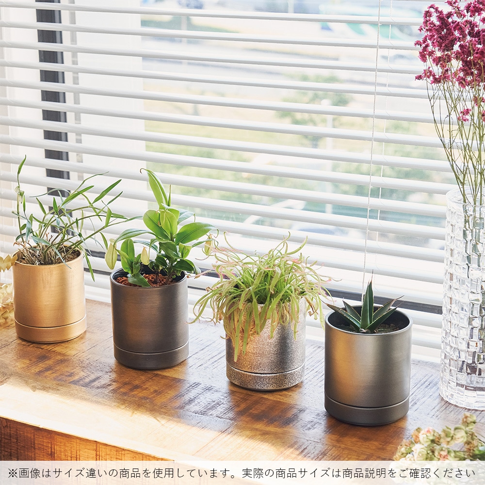 MC円柱メタルecoポット皿付|鉄はエコ|アンティークゴールド#5