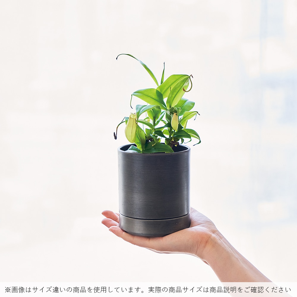 MC円柱メタルecoポット皿付|鉄はエコ|アンティークゴールド#5