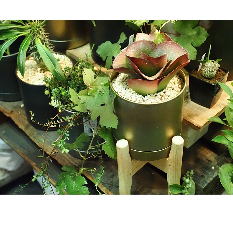 MC円柱メタルecoポット皿付|鉄はエコ|アンティークゴールド＃5