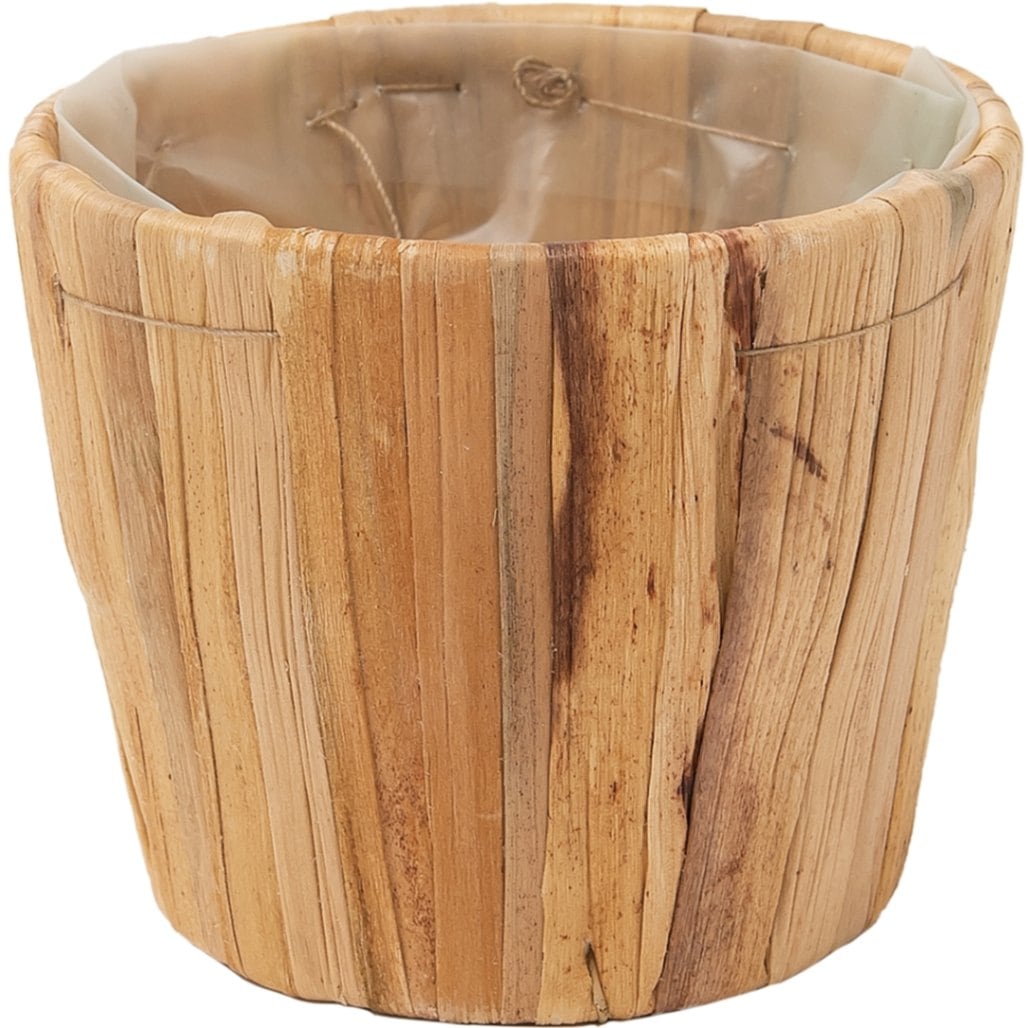 PPペールカップナチュラルSS　10個セット