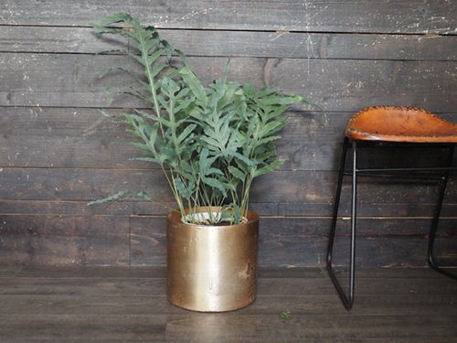 AMシリンダーポットゴールド H22