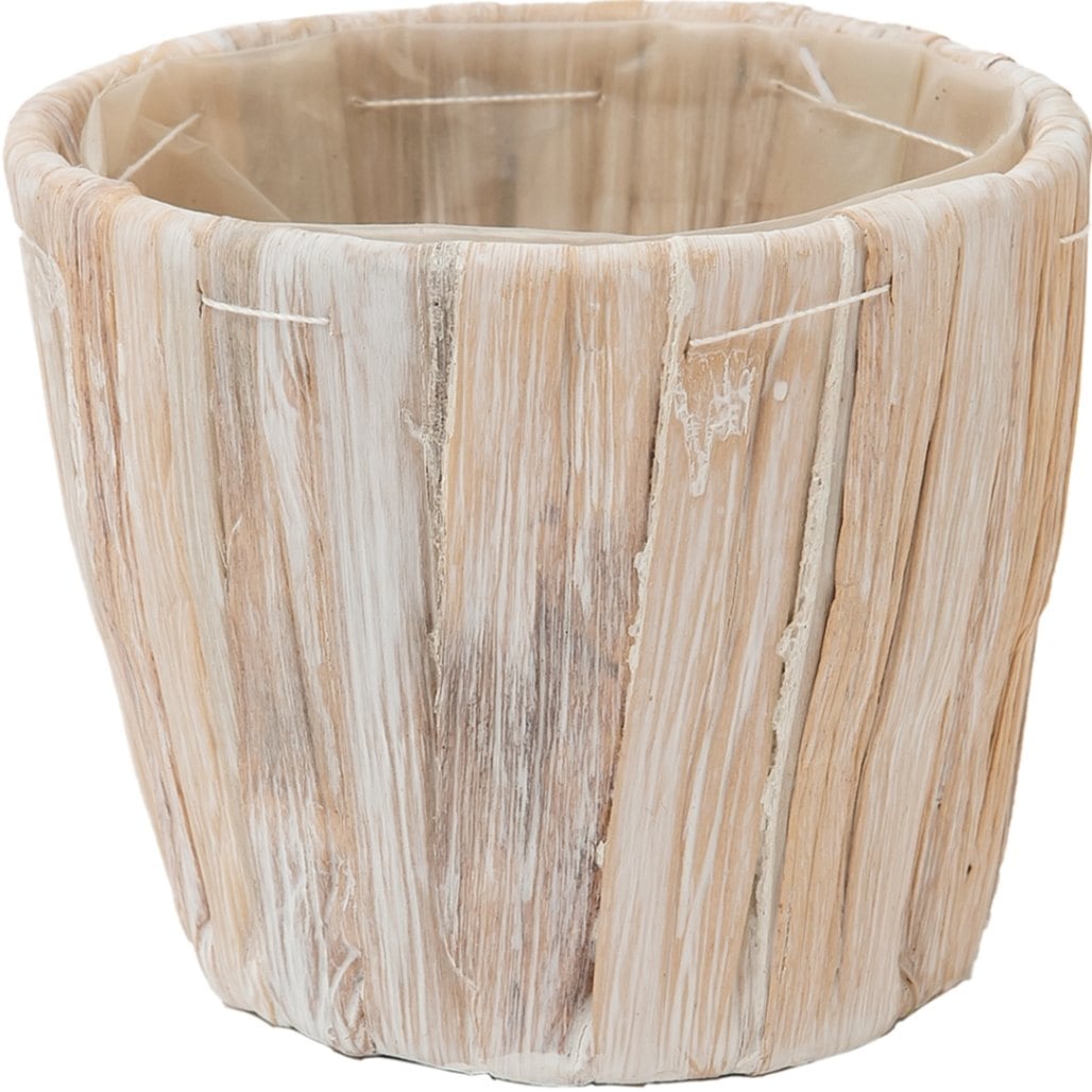 PPペールカップホワイトSS 10個セット