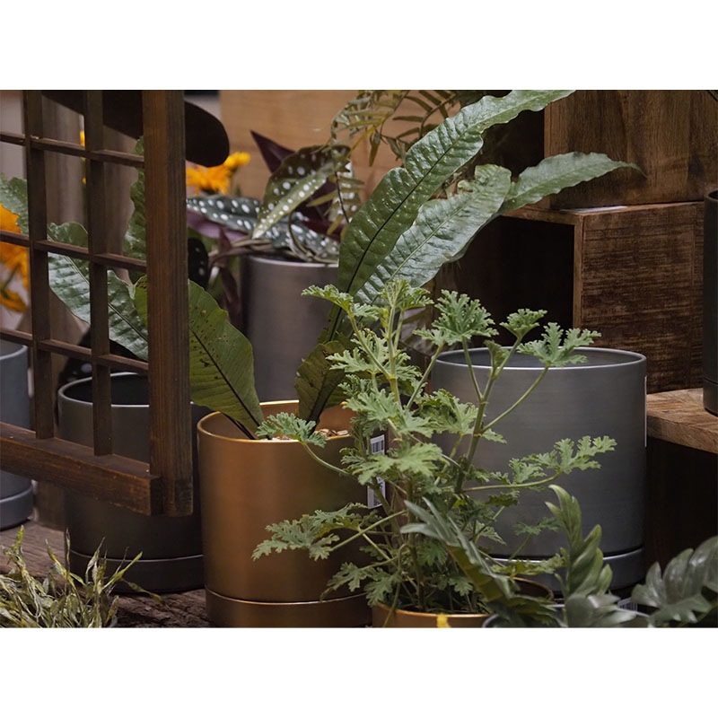 MC円柱メタルecoポット皿付|鉄はエコ|ダークブラック＃5